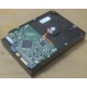 Жесткий диск HP 250Gb 7200 rpm 432337-001/ 399699-001 / 397377-004 (Южно-Сахалинск)