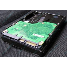 Жесткий диск 600Gb 15k Dell 9FN066-008 6G SAS ( Seagate Cheetach ST3600057SS 15K.7) - Южно-Сахалинск