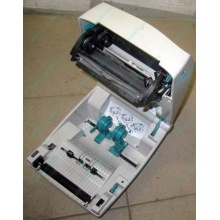 Термопринтер Zebra TLP 2844 (без БП!) - Южно-Сахалинск