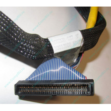Кабель SCSI HP 166298-037 для HP ML370 G4 (Южно-Сахалинск)