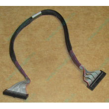 FDD-кабель HP 271946-006 для ML370 (Южно-Сахалинск)