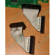 6017B0045701 Шлейф 24 pin для Intel C74974-401 T0043401-B01 корпуса SR2400 (Южно-Сахалинск)