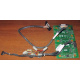Корзина 59P5159 24P2578 IBM X225 / X226 / X235 / X255 / X266 xSeries servers FRU59P5159 FRU24P2578 (Южно-Сахалинск)