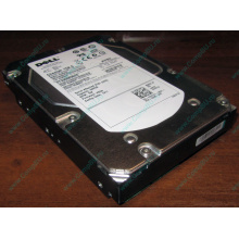 Жесткий диск 300Gb 15k Dell 9CH066-050 6G SAS (Seagate Cheetach ST3300656SS 15K.6) - Южно-Сахалинск