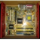 Материнская плата Asus P5L-VM 1394 s.775 (Южно-Сахалинск)